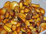 Peruvian Corn Nuts